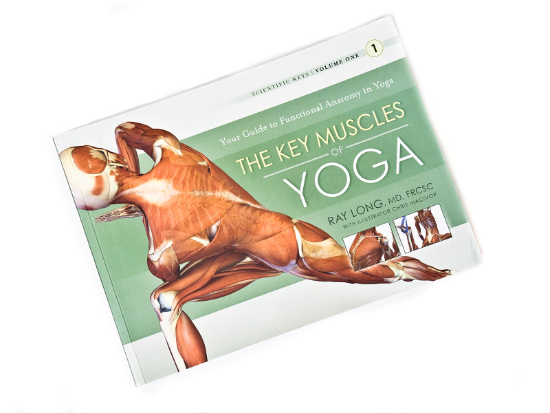 The key muscels of yoga