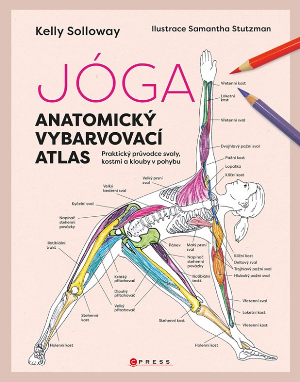 Jóga - anatomický vybarvovací atlas