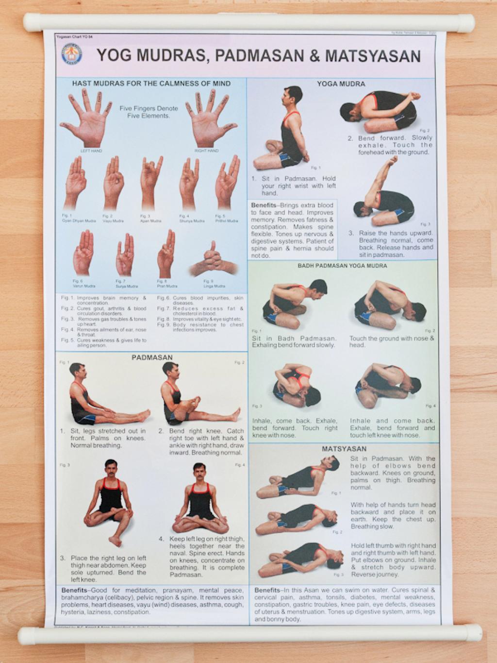 Yog Mudrasan Padmasan & Matsyasan
